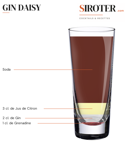 Fiche Cocktail – Gin Daisy