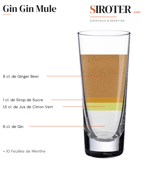 Fiche Cocktail – Gin Gin Mule