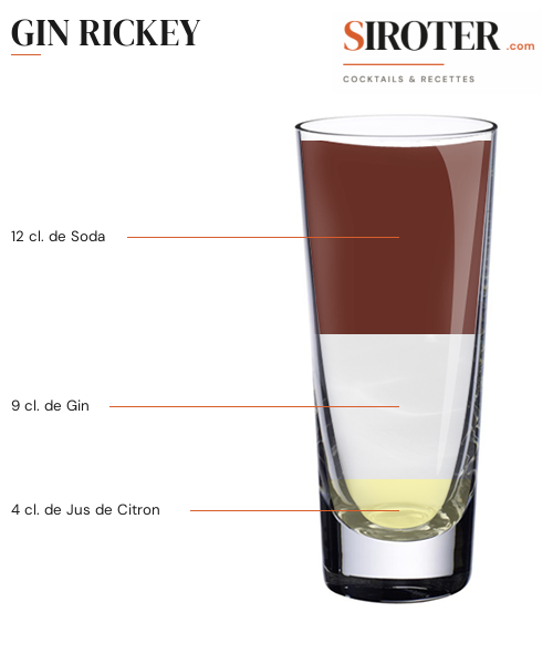 Fiche Cocktail – Gin Rickey