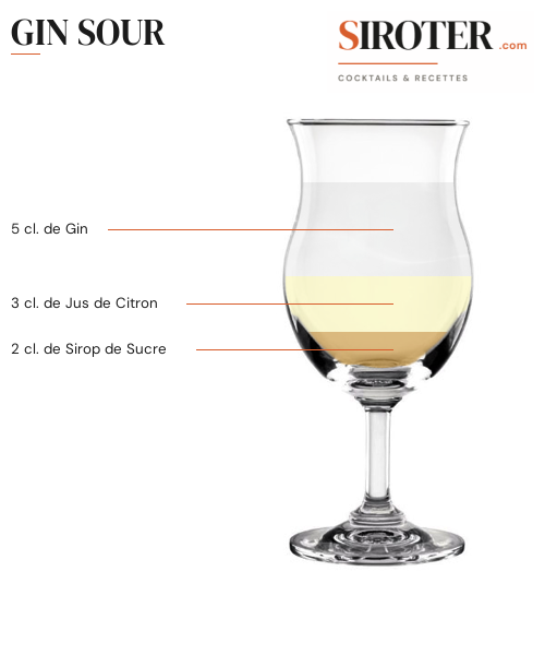 Fiche Cocktail – Gin Sour
