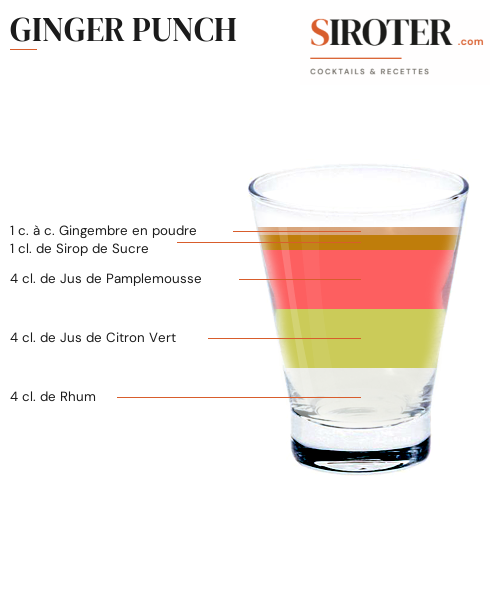 Fiche Cocktail – Ginger Punch