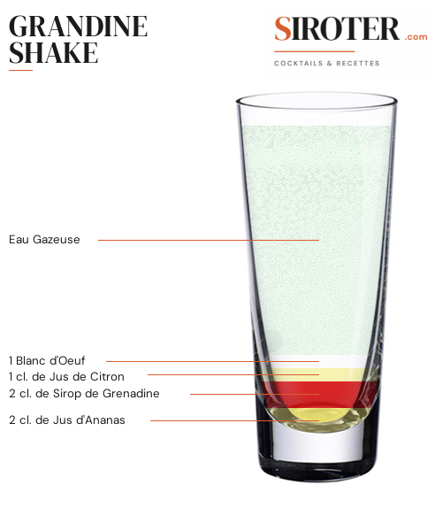 Fiche Cocktail – Grandine Shake