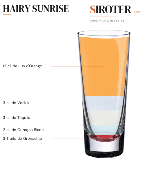 Fiche Cocktail – Hairy Sunrise