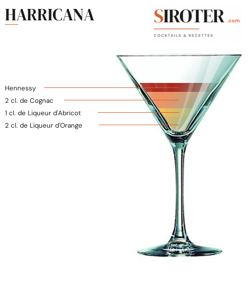 Fiche Cocktail – Harricana