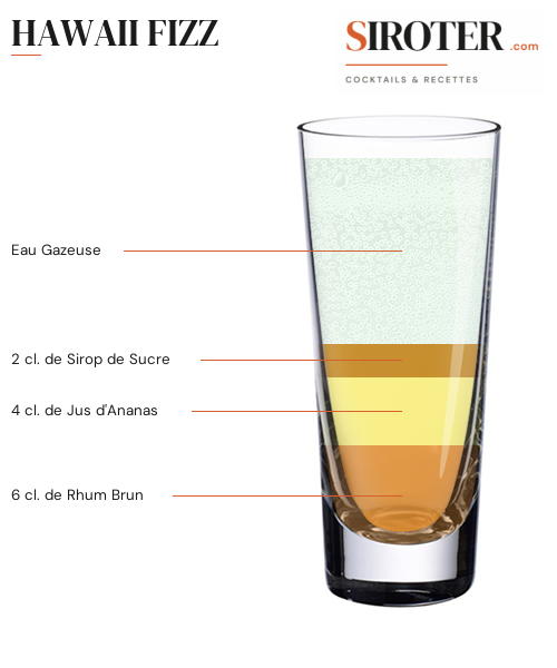 Fiche Cocktail – Hawaii Fizz