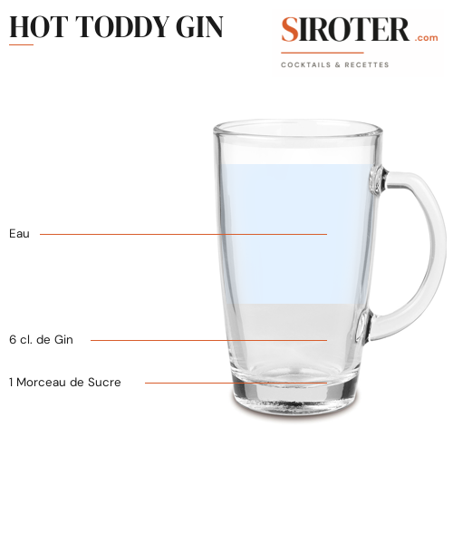 Fiche Cocktail – Hot Toddy Gin