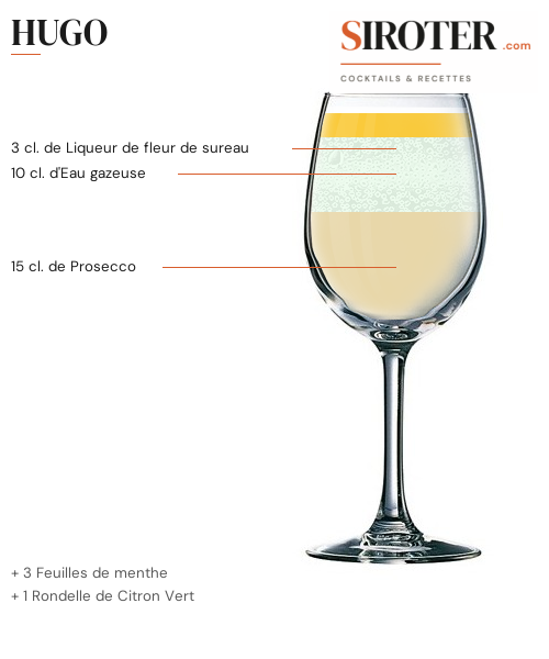 Fiche Cocktail – Hugo