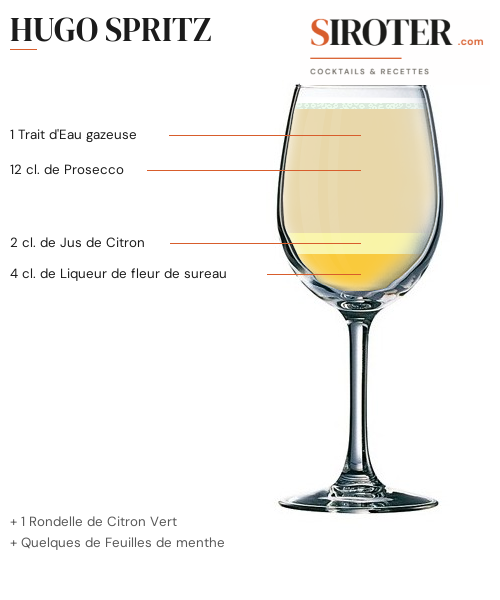 Fiche Cocktail – Hugo Spritz