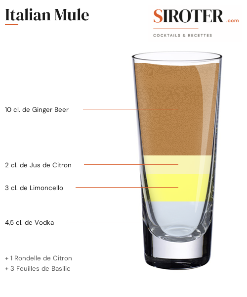 Fiche Cocktail – Italian Mule