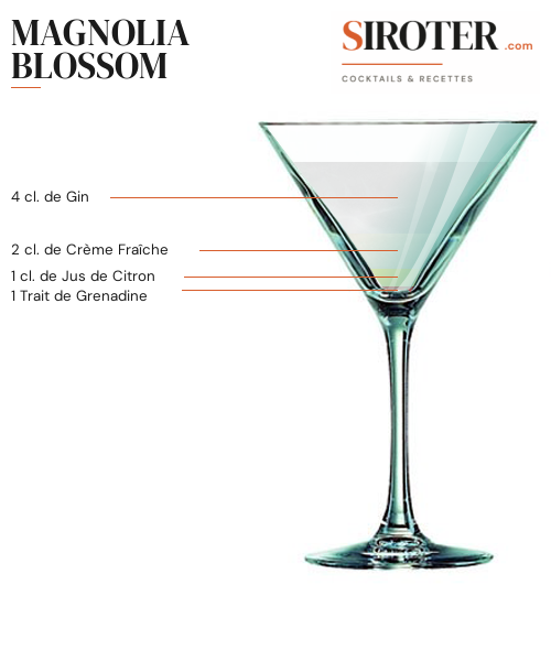 Fiche Cocktail – Magnolia Blossom