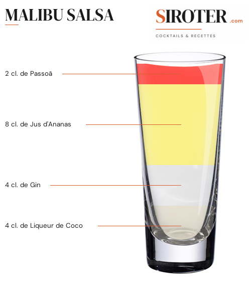 Fiche Cocktail – Malibu Salsa