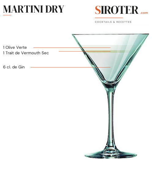 Fiche Cocktail – Martini Dry