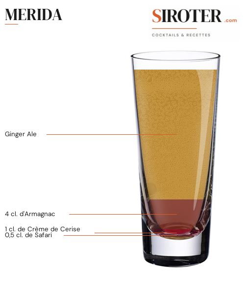 Fiche Cocktail – Merida