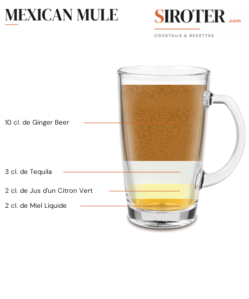 Fiche Cocktail – Mexican Mule