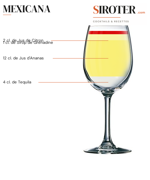 Fiche Cocktail – Mexicana