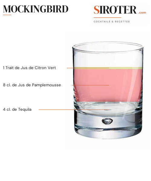 Fiche Cocktail – Mockingbird