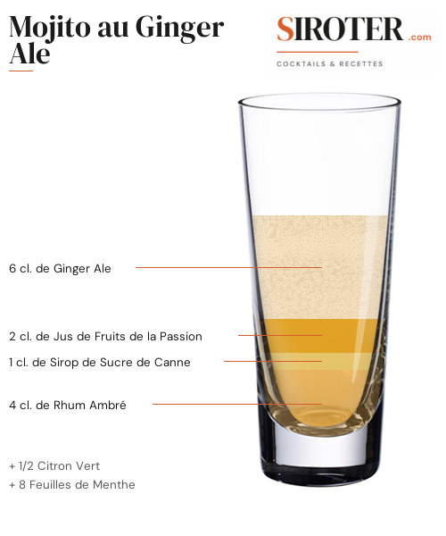 Fiche Cocktail – Mojito Au Ginger Ale