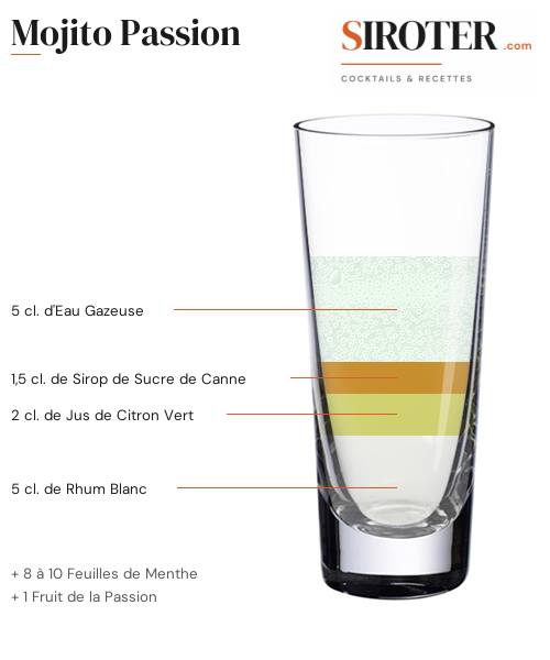 Fiche Cocktail – Mojito Passion