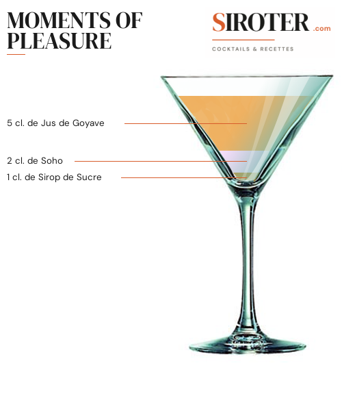 Fiche Cocktail – Moments Of Pleasure
