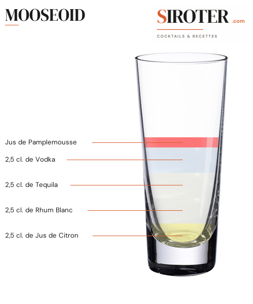 Fiche Cocktail – Mooseoid