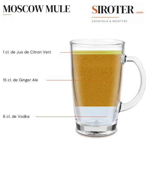 Fiche Cocktail – Moscow Mule
