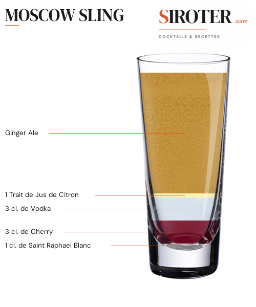 Fiche Cocktail – Moscow Sling