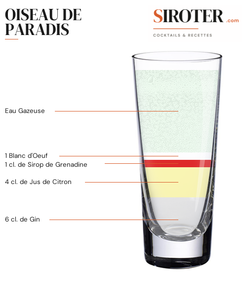 Fiche Cocktail – Oiseau De Paradis