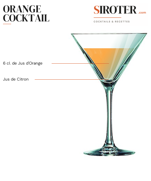 Fiche Cocktail – Orange Cocktail