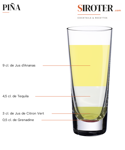 Fiche Cocktail – Piña