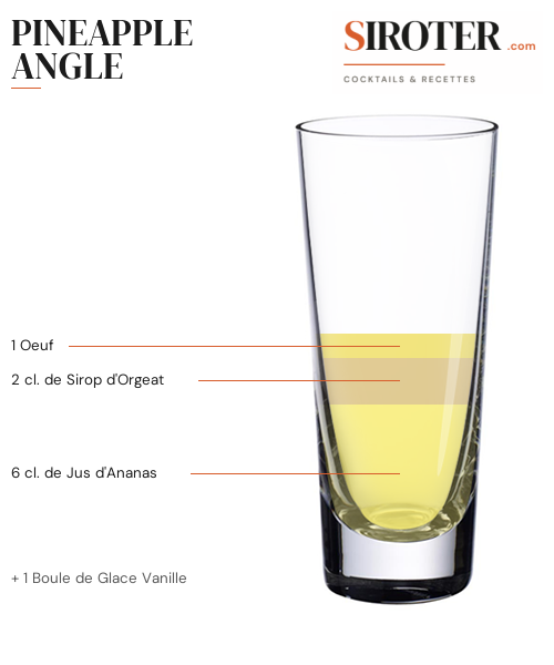 Fiche Cocktail – Pineapple Angle