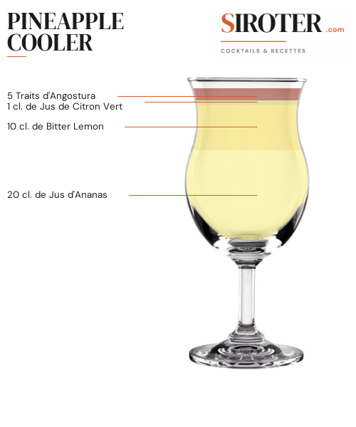Fiche Cocktail – Pineapple Cooler