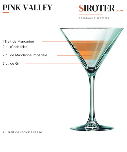 Fiche Cocktail – Pink Valley