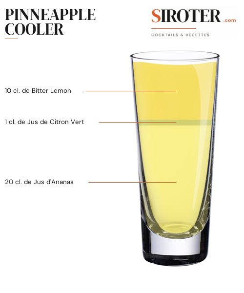 Fiche Cocktail – Pinneapple Cooler