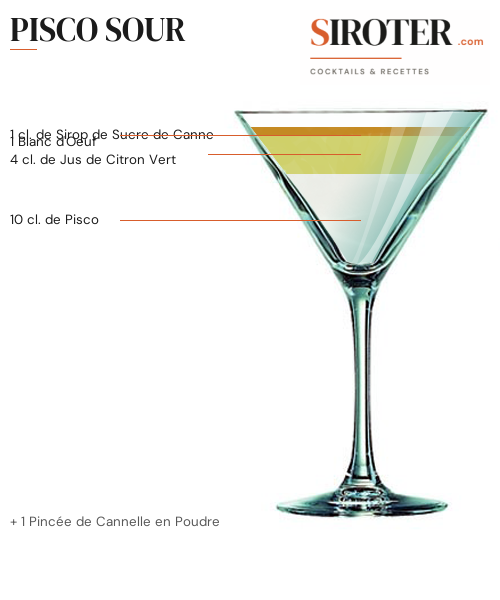 Fiche Cocktail – Pisco Sour