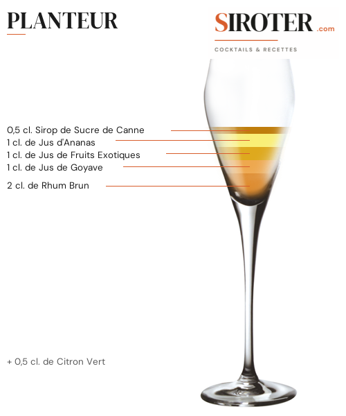 Fiche Cocktail – Planteur