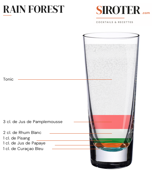 Fiche Cocktail – Rain Forest