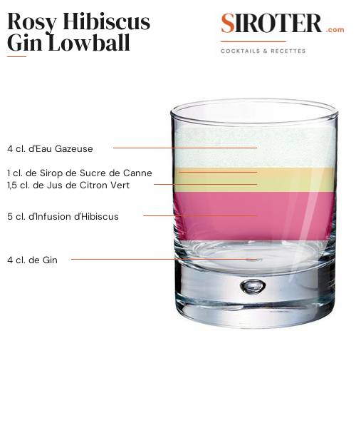 Fiche Cocktail – Rosy Hibiscus Gin Lowball