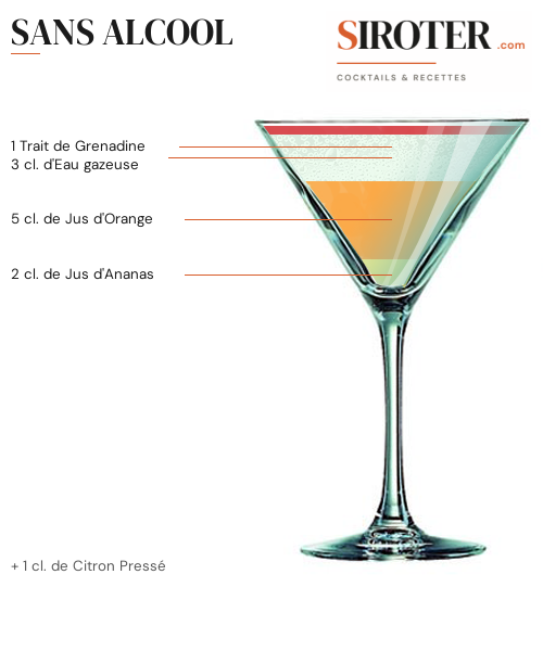 Fiche Cocktail – Sans Alcool