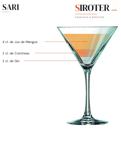 Fiche Cocktail – Sari