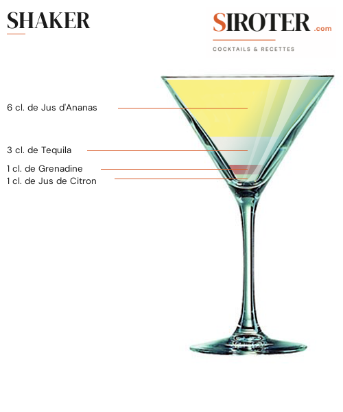 Fiche Cocktail – Shaker