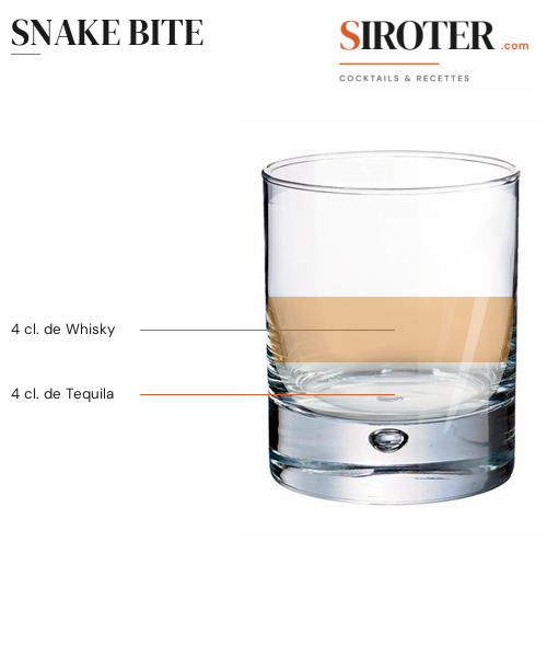 Fiche Cocktail – Snake Bite