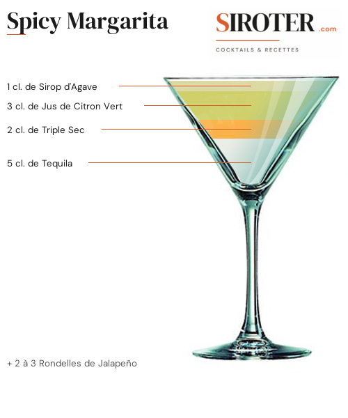 Fiche Cocktail – Spicy Margarita