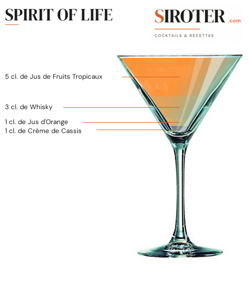 Fiche Cocktail – Spirit Of Life