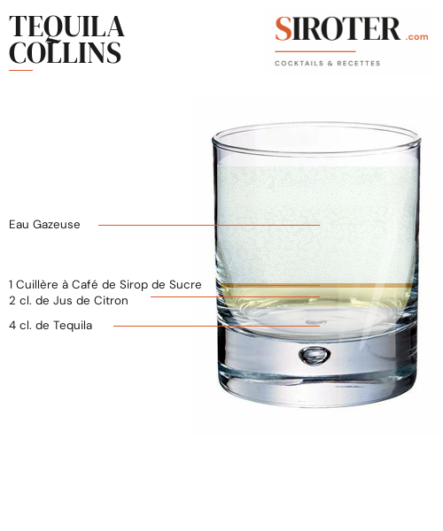 Fiche Cocktail – Tequila Collins