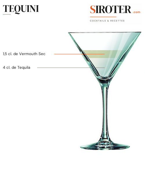 Fiche Cocktail – Tequini