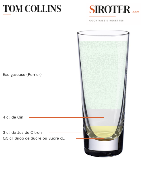 Fiche Cocktail – Tom Collins