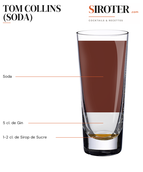 Fiche Cocktail – Tom Collins (Soda)