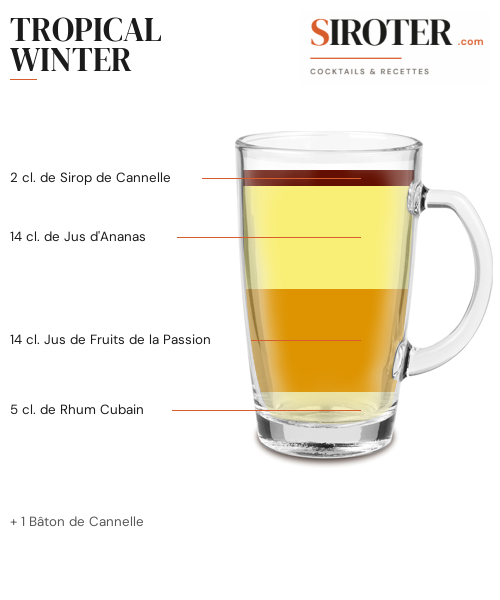 Fiche Cocktail – Tropical Winter
