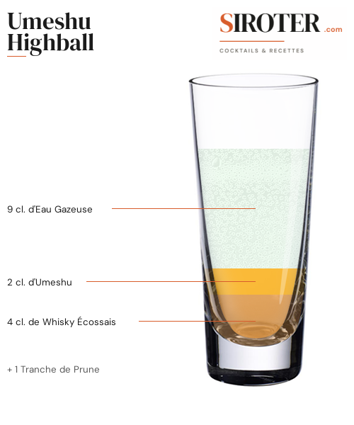 Fiche Cocktail – Umeshu Highball