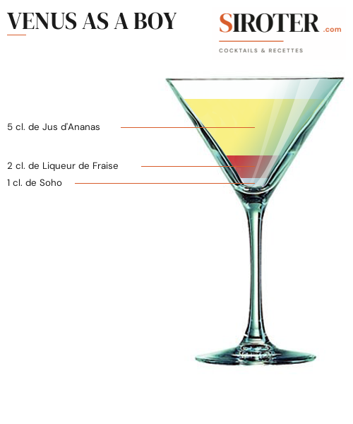 Fiche Cocktail – Venus As A Boy